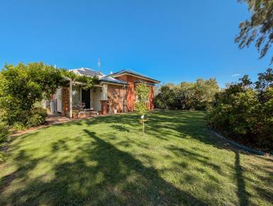 House For Sale - VIC - Kerang - 3579 - Stunning Double Brick Home in Prime Location (Image 2)