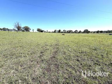Residential Block For Sale - NSW - Inverell - 2360 - Building Block in Edge of Town  (Image 2)