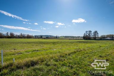 Residential Block For Sale - NSW - Glen Innes - 2370 - A Strategic Hub Between Sydney & Brisbane  (Image 2)