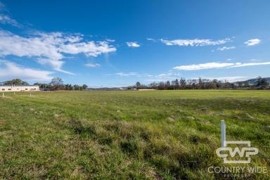 Residential Block For Sale - NSW - Glen Innes - 2370 - A Strategic Hub Between Sydney & Brisbane  (Image 2)