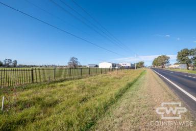 Residential Block For Sale - NSW - Glen Innes - 2370 - 1.728 Hectares Commercial Land  (Image 2)