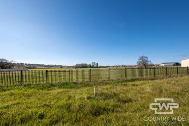 Residential Block For Sale - NSW - Glen Innes - 2370 - 1.728 Hectares Commercial Land (Image 2)