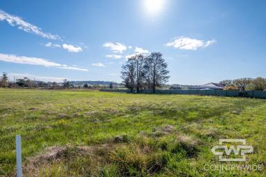 Residential Block For Sale - NSW - Glen Innes - 2370 - Prime Glen Innes Industrial Site  (Image 2)