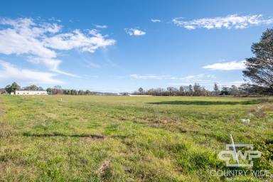 Residential Block For Sale - NSW - Glen Innes - 2370 - Prime Glen Innes Industrial Site (Image 2)