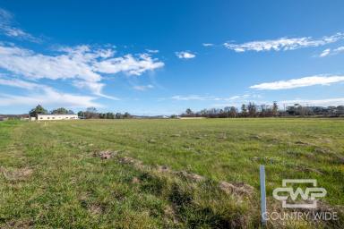 Residential Block For Sale - NSW - Glen Innes - 2370 - 3289 m2 of Commercial land  (Image 2)