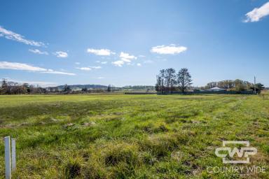 Residential Block For Sale - NSW - Glen Innes - 2370 - 3289 m2 of Commercial land (Image 2)