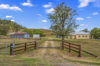 Lifestyle For Sale - NSW - Singleton - 2330 - Mt Olive Rural Property with Long-Held Family Charm  (Image 2)