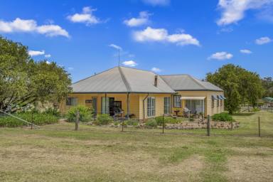 Lifestyle For Sale - NSW - Singleton - 2330 - Mt Olive Rural Property with Long-Held Family Charm  (Image 2)