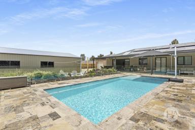 House For Sale - VIC - Bittern - 3918 - A Beautifully Balanced Home for Relaxed Living  (Image 2)