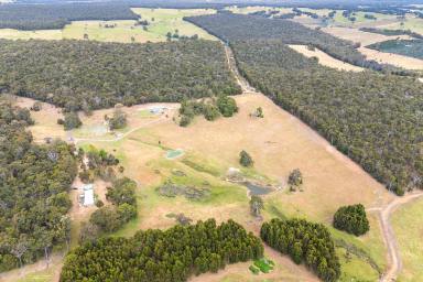 Other (Residential) For Sale - WA - Bridgetown - 6255 - Your 20-Acre Sanctuary Backing onto Crown Land  (Image 2)