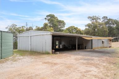 Other (Residential) For Sale - WA - Bridgetown - 6255 - Your 20-Acre Sanctuary Backing onto Crown Land  (Image 2)