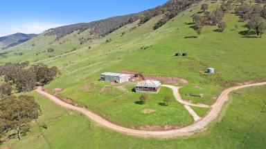 Mixed Farming For Sale - VIC - Licola - 3858 - “Primrose Gap” - An Exceptional 1,800-Acre Holding in Victoria’s Pristine High Country  (Image 2)