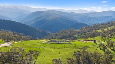Mixed Farming For Sale - VIC - Licola - 3858 - “Primrose Gap” - An Exceptional 1,800-Acre Holding in Victoria’s Pristine High Country  (Image 2)