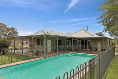 Other (Rural) For Sale - NSW - Boorowa - 2586 - "Mt. Bowlong", Productive Farmland Meets Picturesque Country Living  (Image 2)