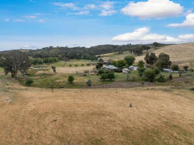 Other (Rural) For Sale - NSW - Boorowa - 2586 - "Mt. Bowlong", Productive Farmland Meets Picturesque Country Living  (Image 2)