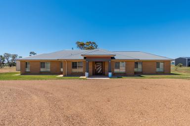 House For Sale - NSW - Temora - 2666 - Luxury Acreage Home  (Image 2)