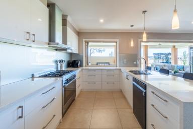 House Tender - NSW - Temora - 2666 - Luxury Acreage Home  (Image 2)