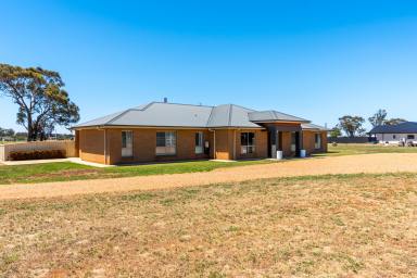 House Tender - NSW - Temora - 2666 - Luxury Acreage Home  (Image 2)