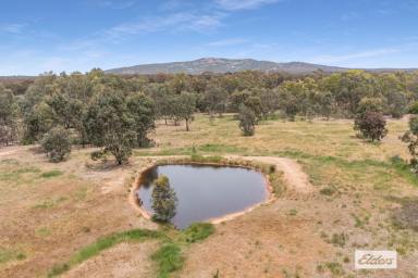 Residential Block For Sale - VIC - McIntyre - 3472 - Productive Land With Building Potential  (Image 2)