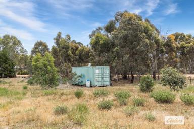 Residential Block For Sale - VIC - McIntyre - 3472 - Productive Land With Building Potential  (Image 2)