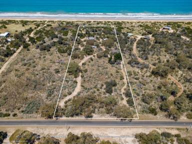Residential Block For Sale - TAS - Dolphin Sands - 7190 - A Coastal Playground - Acres Of Magic At Dolphin Sands  (Image 2)