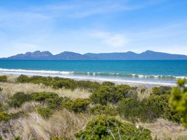 Residential Block For Sale - TAS - Dolphin Sands - 7190 - A Coastal Playground - Acres Of Magic At Dolphin Sands  (Image 2)