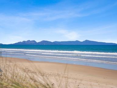 Residential Block For Sale - TAS - Dolphin Sands - 7190 - A Coastal Playground - Acres Of Magic At Dolphin Sands  (Image 2)