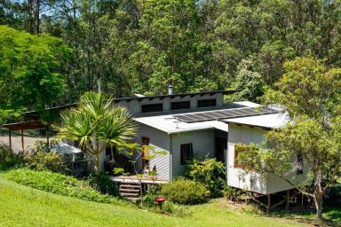 Acreage/Semi-rural For Sale - NSW - Kyogle - 2474 - A Private Oasis: Nature, Comfort, and Convenience  (Image 2)