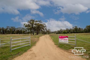 Lifestyle For Sale - NSW - Torrington - 2371 - 17-acre Building Block (Image 2)