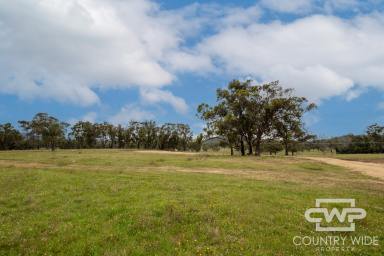 Lifestyle For Sale - NSW - Torrington - 2371 - 17-acre Building Block (Image 2)