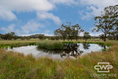 Lifestyle For Sale - NSW - Torrington - 2371 - 17-acre Building Block  (Image 2)