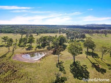 Residential Block For Sale - NSW - Mandemar - 2575 - Exceptional 36.5ha - Build Your Dream Rural Home  (Image 2)