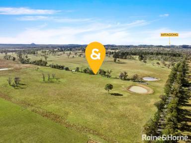 Residential Block For Sale - NSW - Mandemar - 2575 - Exceptional 36.5ha - Build Your Dream Rural Home  (Image 2)