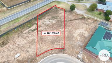 Residential Block For Sale - NSW - Lavington - 2641 - GENEROUS LOT, COURT LOCATION  (Image 2)
