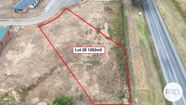 Residential Block For Sale - NSW - Lavington - 2641 - GENEROUS LOT, COURT LOCATION  (Image 2)