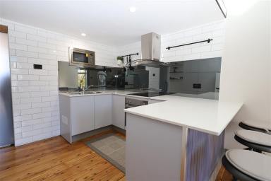 Studio For Lease - NSW - Tumut - 2720 - Main Street Location  (Image 2)