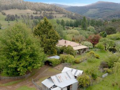 House For Sale - TAS - Ellendale - 7140 - Country Lifestyle on 3.186 Hectares - Your Ellendale Escape  (Image 2)