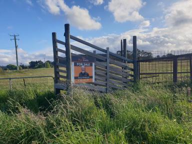 Livestock For Sale - TAS - Nook - 7306 - Productive Versatile block 20.2 (50 acres)  (Image 2)