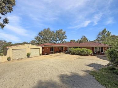 House For Sale - NSW - Young - 2594 - A Rare 2.75ac Lifestyle Holding Within Town Limits  (Image 2)