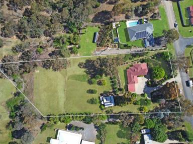 House For Sale - NSW - Young - 2594 - A Rare 2.75ac Lifestyle Holding Within Town Limits  (Image 2)