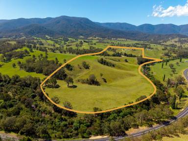 Acreage/Semi-rural For Sale - NSW - Bemboka - 2550 - 65 ACRES WITH BEMBOKA RIVER FRONTAGE  (Image 2)