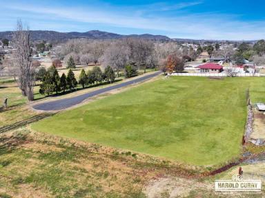 Residential Block For Sale - NSW - Tenterfield - 2372 - Parkland Views.....  (Image 2)