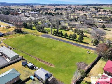 Residential Block For Sale - NSW - Tenterfield - 2372 - Parkland Views.....  (Image 2)