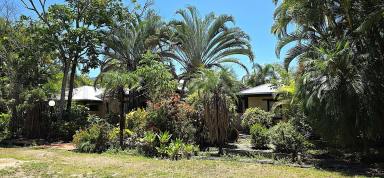 House For Sale - QLD - Cardwell - 4849 - Mudbrick Manor – A Landmark Property With Endless Possibilities (Image 2)