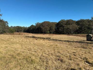 Residential Block For Sale - QLD - Eukey - 4380 - Seclusion and large acerage on the Granite Belt (Image 2)