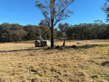 Residential Block For Sale - QLD - Eukey - 4380 - Seclusion and large acerage on the Granite Belt (Image 2)