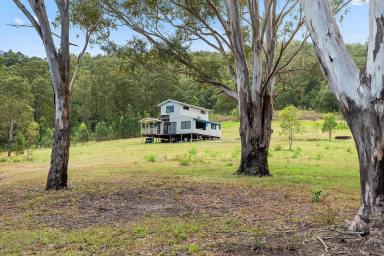 Lifestyle For Sale - NSW - Glen Martin - 2321 - Your 183-Acre Rural Escape – Endless Potential, Prime Position  (Image 2)