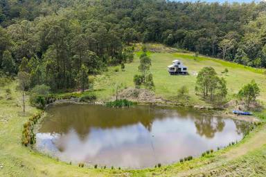 Lifestyle For Sale - NSW - Glen Martin - 2321 - Your 183-Acre Rural Escape – Endless Potential, Prime Position  (Image 2)