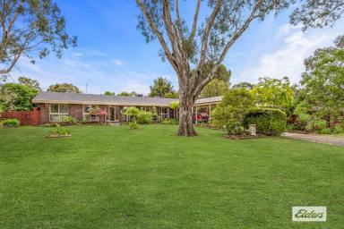 House For Sale - VIC - Ararat - 3377 - Secluded 3-4 Bedroom home on a large block  (Image 2)