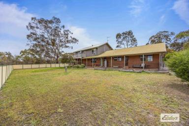 House For Sale - VIC - Stawell - 3380 - Space and Serenity on 15 Acres (Image 2)